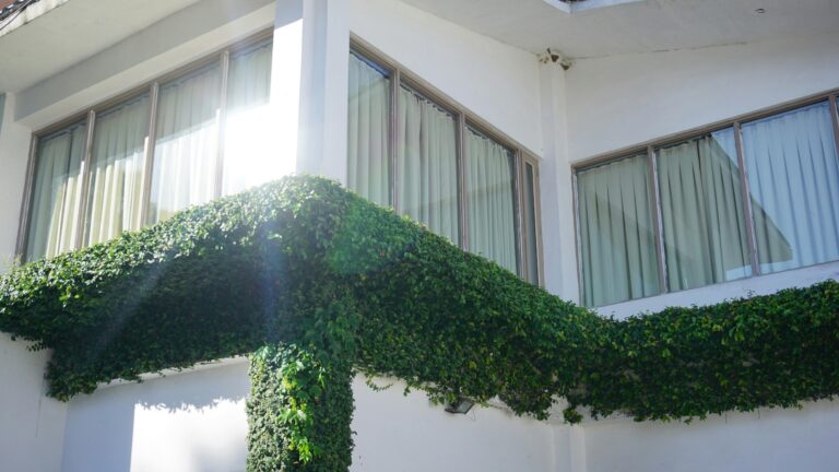 Contemporary building exterior with lush greenery and sunlight, showcasing architecture and natural design.